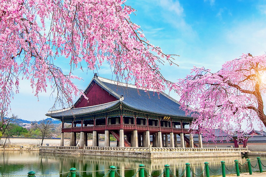Budaya Korea Selatan Menurut Tutor Cetta
