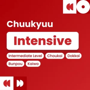 Chuukyuu Intensif