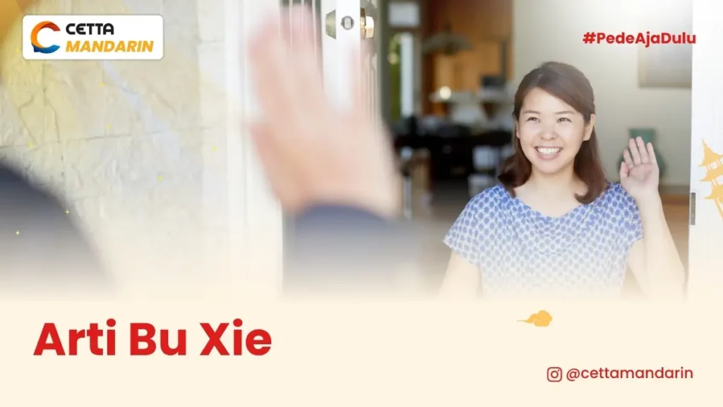arti-bu-xie