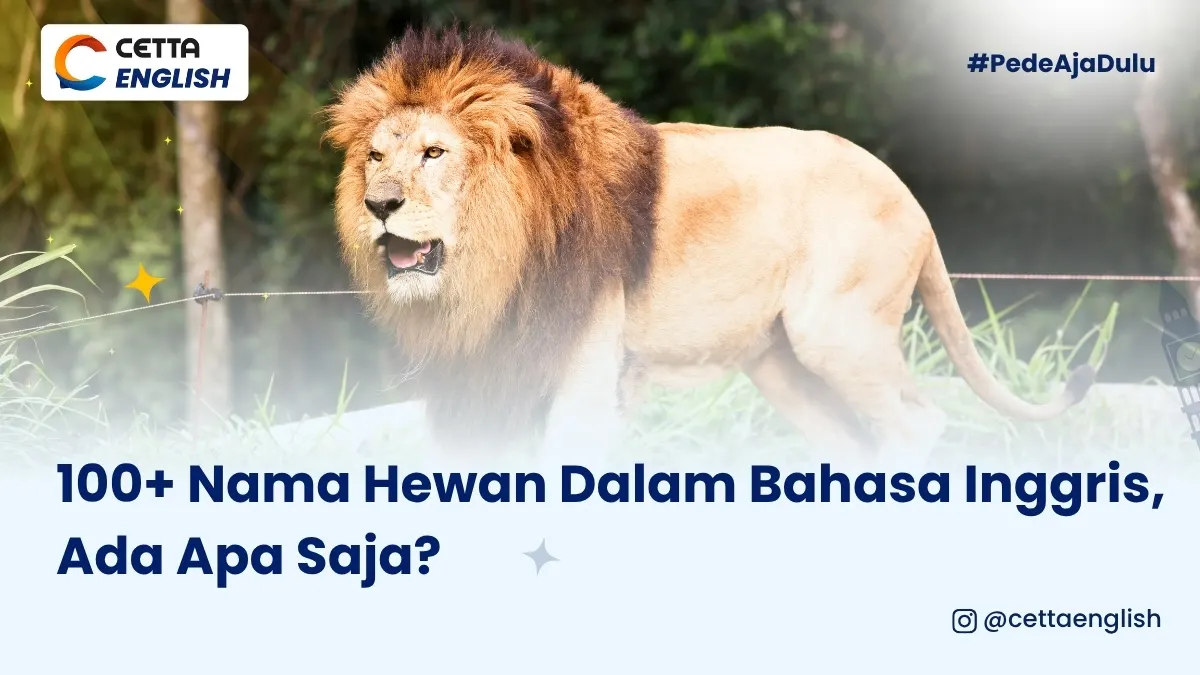 1000 nama hewan dalam bahasa Inggris