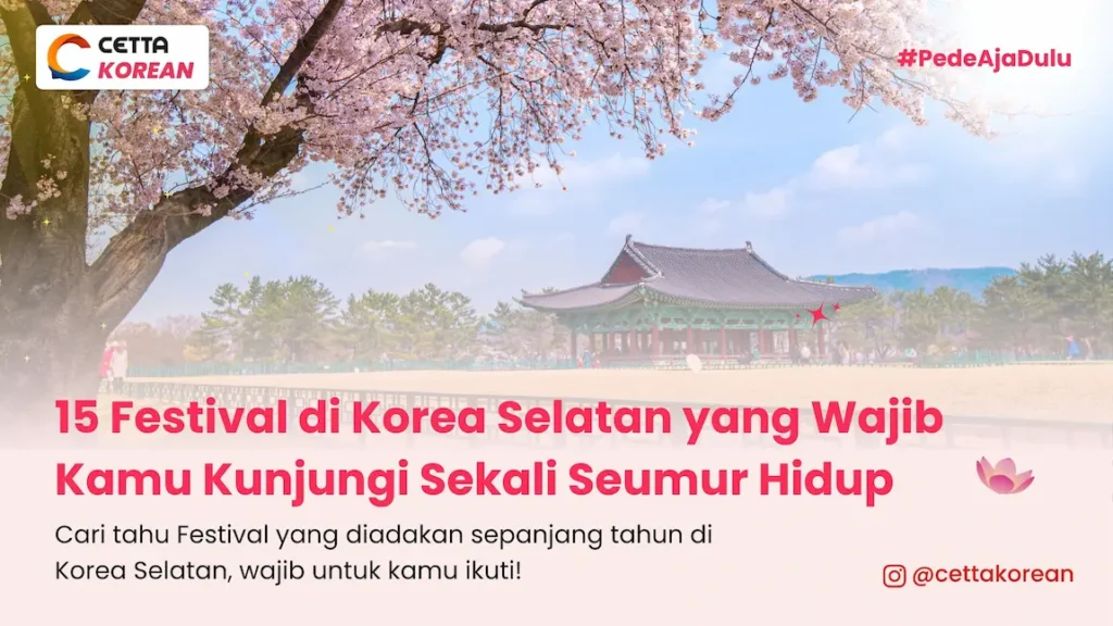 gambar rumah tradisional korea di musim semi dengan bunga cherry blossom penanda festival Jinhae