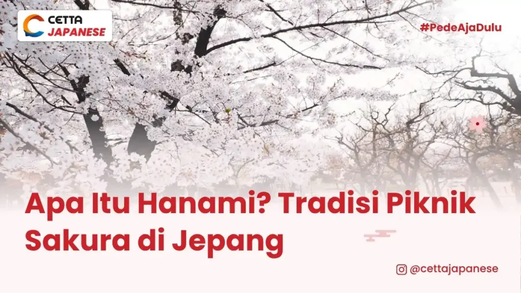ilustrasi bunga sakura saat Hanami
