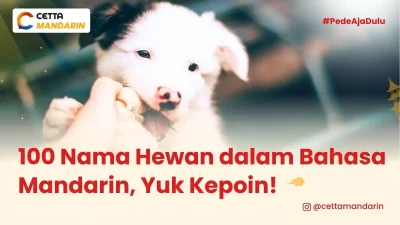 potret anjing yang memiliki nama hewan dalam Bahasa Mandarin
