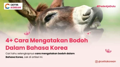gambar keledai, hewan yang biasa digunakan sebagai perlambangan bodoh
