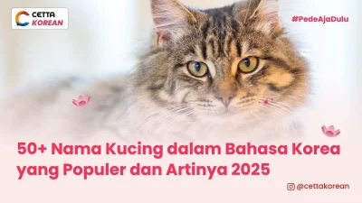 seekor kucing yang memiliki nama korea populer untuk hewan p eliharaan