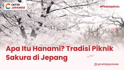 ilustrasi bunga sakura saat Hanami