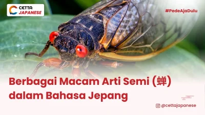serangga semi atau tonggeret di atas daun