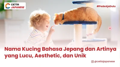 Seorang anak kecil laki-laki dengan kucing hewan peliharaannya